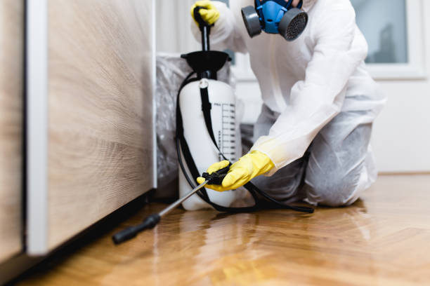 Best Wasp Removal Services  in Walton, KY