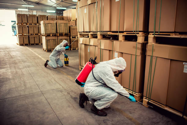Best Best Pest Control Companies  in Walton, KY