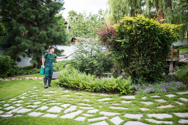 Best Affordable Pest Control Services  in Walton, KY