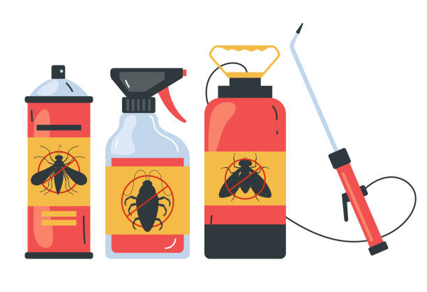 Best Local Pest Control Services  in Walton, KY